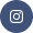 icone instagram