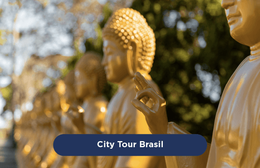 City Tour Brasil
