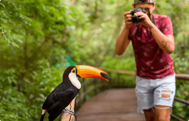 Touristic Point