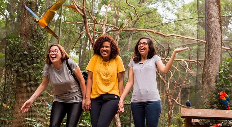 Tour por Foz do Iguaçu