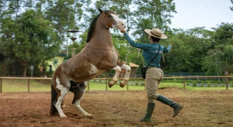 Tour por Foz do Iguaçu